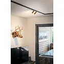 SLV track spot GRIP! S 48V DALI DTW swivelling, for VDU workstation, DALI controllable, Dim-To-Warm IP20, gold matt dimmable