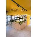 SLV LED 3-Phasen-Strahler GRIP! M DALI, 20W 3000K 42°, CRi >90, UGR <19, DALI/Touch dimmbar, schwenkbar, schwarz / gold