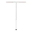 SLV LED Pendelleuchte GRIP! S, 48V, 2000-3000K 29°, DALI steuerbar, Dim-to-Warm, weiß / schwarz
