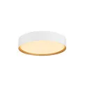LED Wand- und Deckenleuchte DECONA PHASE, rund, 18W 2700/3000K (CCT Switch), dimmbar, weiß / gold