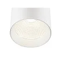 SLV 3-phase luminaire TRACKSPOT C 29 36° adjustable, switchable IP20, white, lacquered 