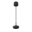 pendant luminaire GRIP! FLAT IP20, gold, black dimmable