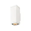 SLV Outdoor LED-Wandleuchte THEO PRO L SINGLE DALI 2, IP65 IK08, Höhe 30.5cm, DALI 2 dimmbar, 15W 2700K 1800lm 24°, weiß