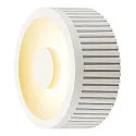 LED Ceiling luminaire OCCULDAS 13 LED, white, 15W, 3000K