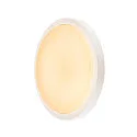 Outdoor LED Wand-/Deckenleuchte AINOS ROUND, IP44, Ø 30cm, 21W 3000K 1430lm, anthrazit / opal