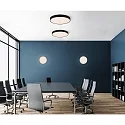 ACB ceiling luminaire ROMA 3974/40 with diffuser IP20, black