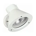 Außenwand-Strahler Typ Nr. 2155, IP54, E27 PAR30 max. 75W, dreh- und schwenkbar, Alu-Guss / Sicherheitsglas, Weiß