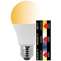 HWH LED SMD Lampe A60, 200°, E27, 10W, 2700/4000/6500K, 810lm, Click CCT 3 in1