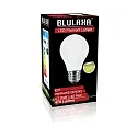 HWH LED Birnenlampe, E27, 4.5W 2700K 470lm, Glas opal