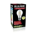 HWH LED Birnenlampe, E27, 4.5W 2700K 470lm, Glas klar