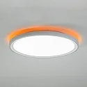 Brumberg insert SUNNY MAXI / 55CM set of 4, amber