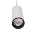 pendant luminaire LUCEA 20 IP20, transparent, traffic white dimmable