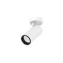 ceiling luminaire LUCEA TILT 15 CCT Switch, adjustable IP20, transparent, traffic white dimmable