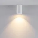 Downlight / Deckenstrahler CAN, IP20, GU10, starr, weiß