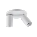ceiling luminaire CAN TILT ROUND Ø 20CM 2 flames, round, cardanic swivelling GU10 IP20, white