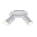 ceiling luminaire CAN TILT ROUND Ø 20CM 2 flames, round, cardanic swivelling GU10 IP20, white