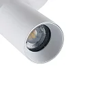 ceiling luminaire CAN TILT ROUND Ø 20CM 2 flames, round, cardanic swivelling GU10 IP20, white
