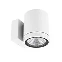 LED Fassadenstrahler SHORELINE PRO ROUND 100 DOWN, IP65 IK08, 12W 3000/4000K 1000lm 36°, CRi >90, dimmbar, weiß
