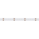 LED Strip STANDARD COB