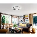 Fabas Luce LED Deckenleuchte GIOTTO, 1-fach, Ø 60cm, 36W 3000K 3780lm, dimmbar, schwarz