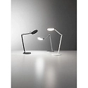 Fabas Luce LED Tischleuchte REGINA, 9W 3000-6000K (CCT Switch) 795lm, neigbar / Kopf schwenkbar, mit Touch-Dimmer, schwarz