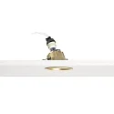 Faro Wallwasher FRESH 25°, GU10, IP20, gold