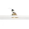 Faro Wallwasher FRESH 25°, GU10, IP20, gold