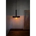 pendant luminaire WHIZZ E27 IP20, gold, black 