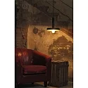 pendant luminaire WHIZZ E27 IP20, gold, black 