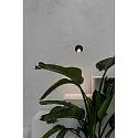 Faro outdoor wall luminaire UVE LED IP44, dark grey 
