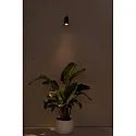 Faro Outdoor LED Projektorlampe PLOM 8,5W, 3000K, IP64, dunkelgrau