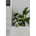 Faro wall and ceiling luminaire MAUREN E27 IP44, brass 