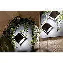Faro outdoor wall luminaire BU-OH LED IP65, dark grey 