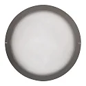 LED Außenwandleuchte Ø27cm, IP65, 8W, 3000K, 1000lm, rund, Abdeckung opal, anthrazit