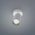 LED Deckenstrahler RIWA, 1-flammig, IP20, 8W 2700K 480lm 30°, CRi >90, dimmbar, verstellbar, mattweiß