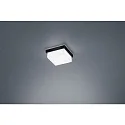 LED Bad-Deckenleuchte COSI 110, IP30, 7W 2900K 610lm, CRi >90, dimmbar, Glas satiniert + poliert, mattschwarz