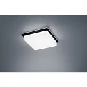 LED Bad-Deckenleuchte COSI 210, IP30, 12W 2900K 1020lm, CRi >90, dimmbar, Glas satiniert + poliert, mattschwarz