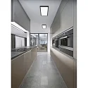 Helestra LED Deckenleuchte RACK, IP20, 61 x 26cm, 22W 2900K 1730lm, CRi >90, dimmbar, blattgold