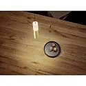 Helestra pendant luminaire LIDOS 1 flame, direct / indirect IP20, black matt, gold leaf dimmable