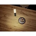 pendant luminaire LIDOS 1 flame, direct / indirect IP20, black chrome dimmable
