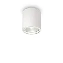 Outdoor Aufbau-Downlight GUN, IP44 IK06, Ø 11cm, GU10, Aluminium / Pyrexglas, weiß