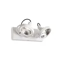 Wand-/Deckenspot GLIM, 2-flammig, inkl. GU10 QPAR111 13W 3000K, Weiß