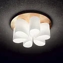 Ideal Lux Deckenleuchte DAISY, 6-flammig, Ø 60cm, E27, Blattgold-Finish / Relief-Ätzglas weiß