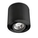 Ceiling luminaire for GU10 / MR16, round, IP20, swivelling, excl. socket, excl. lamps, black