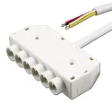 distributor RGB