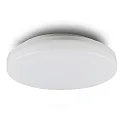 LED Aufbauleuchte DN327, IP54, Ø 32.7cm, 24W 3000/4000K (CCT-Switch) 2700lm 120°, schaltbar, weiß, mit HF/MW-Bewegungssensor