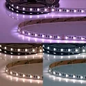 LED SIL-RGB+W+WW Flexband, 24V, 19W, IP20, 5in1 Chip