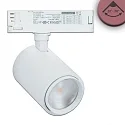 LED 3-Phasen Schienenstrahler FRESH MEAT, fokussierbar 20°-70°, 34W 3200K 2400lm, kardanisch, schaltbar, weiß matt