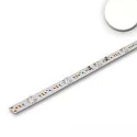 LED module BACKLIGHT 840 DIM - 117.5CM for VDU workstation, 2-pole, with lens optics 16W 1175lm 4000K 180° CRI 80-89 dimmable