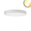 LED Deckenleuchte RUND, IP42, Ø 80cm, 60/70W (multi) 2700/3000/4000K (CCT Switch) 8200lm, UGR<19 2H, dimmbar, weiß